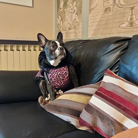 La Chicca *